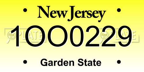 1OO0229 New Jersey License Plate