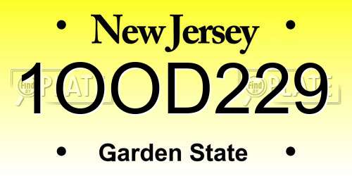 1OOD229 New Jersey License Plate