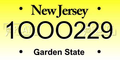 1OOO229 New Jersey License Plate