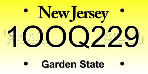 1OOQ229 New Jersey License Plate