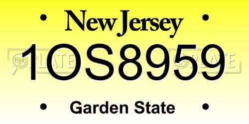 1OS8959 New Jersey License Plate