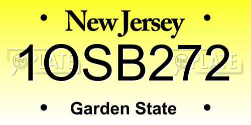 1OSB272 New Jersey License Plate