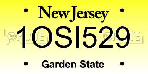 1OSI529 New Jersey License Plate