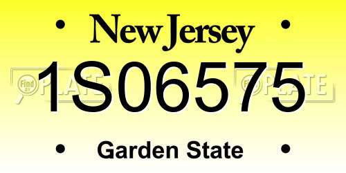 1S06575 New Jersey License Plate