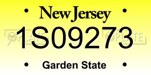 1S09273 New Jersey License Plate
