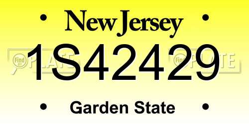 1S42429 New Jersey License Plate
