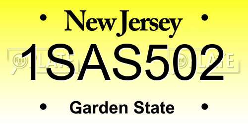 1SAS502 New Jersey License Plate