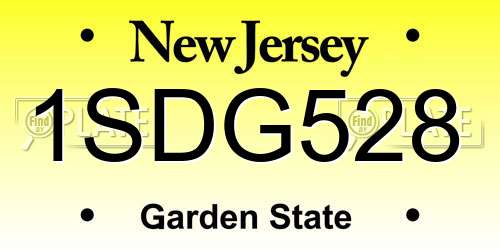 1SDG528 New Jersey License Plate