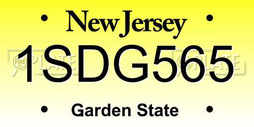 1SDG565 New Jersey License Plate