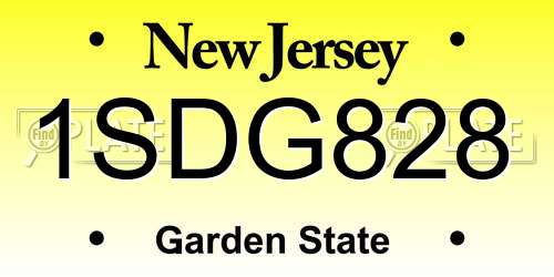 1SDG828 New Jersey License Plate