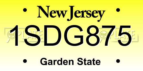 1SDG875 New Jersey License Plate