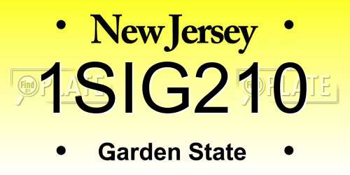 1SIG210 New Jersey License Plate