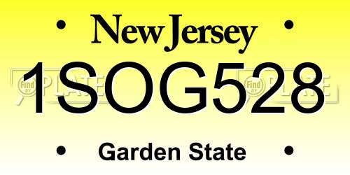 1SOG528 New Jersey License Plate