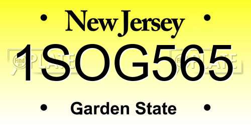 1SOG565 New Jersey License Plate