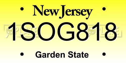1SOG818 New Jersey License Plate