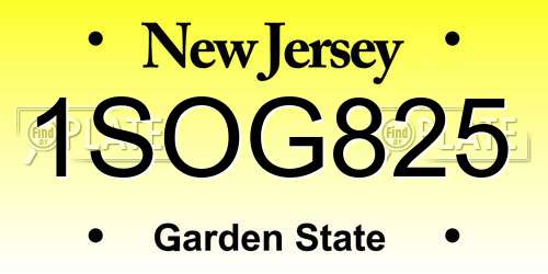 1SOG825 New Jersey License Plate