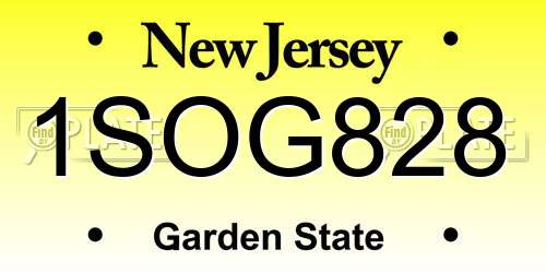 1SOG828 New Jersey License Plate