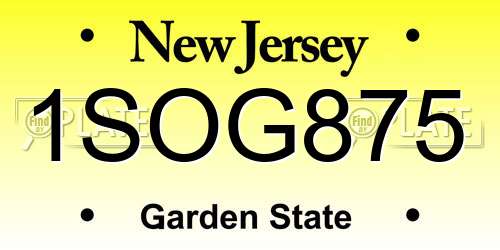 1SOG875 New Jersey License Plate