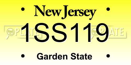 1SS119 New Jersey License Plate