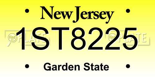 1ST8225 New Jersey License Plate