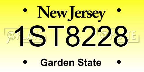 1ST8228 New Jersey License Plate