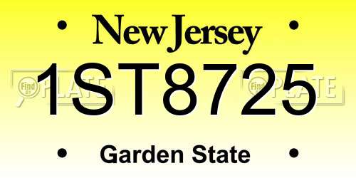 1ST8725 New Jersey License Plate