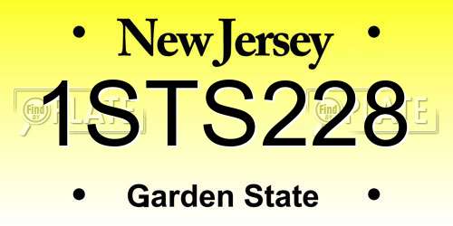 1STS228 New Jersey License Plate