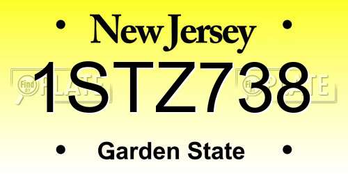1STZ738 New Jersey License Plate