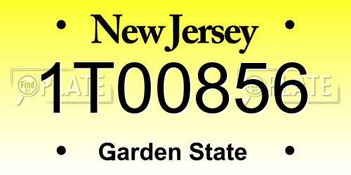 1T00856 New Jersey License Plate