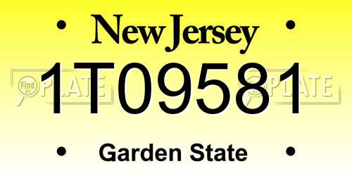 1T09581 New Jersey License Plate