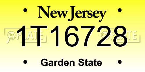 1T16728 New Jersey License Plate