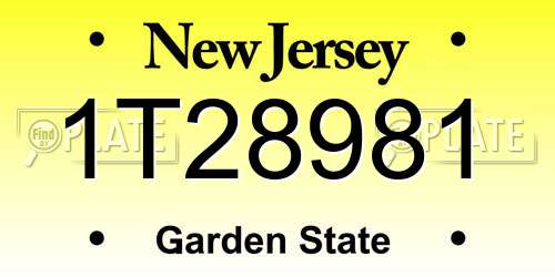 1T28981 New Jersey License Plate