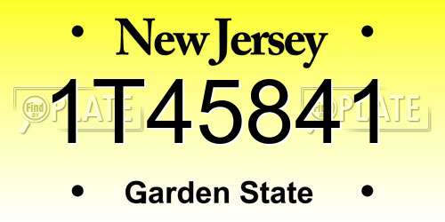1T45841 New Jersey License Plate