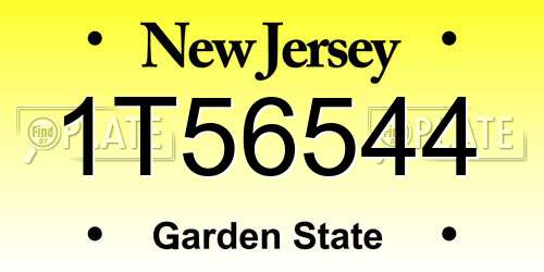 1T56544 New Jersey License Plate