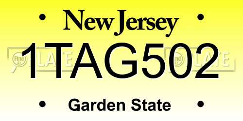 1TAG502 New Jersey License Plate