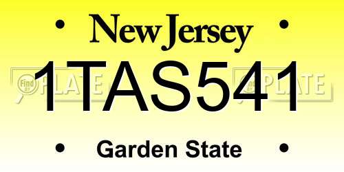 1TAS541 New Jersey License Plate