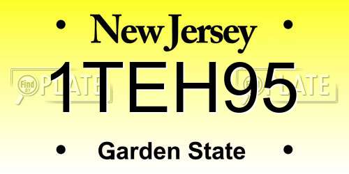 1TEH95 New Jersey License Plate