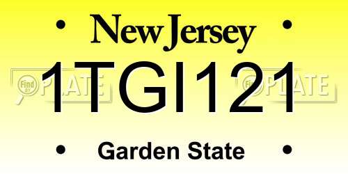 1TGI121 New Jersey License Plate