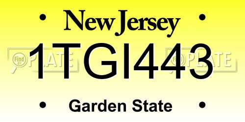 1TGI443 New Jersey License Plate