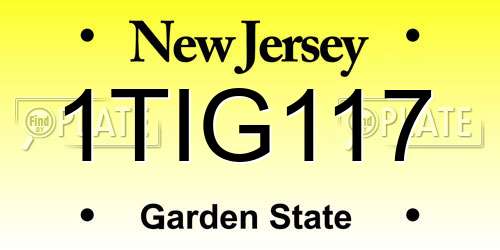 1TIG117 New Jersey License Plate
