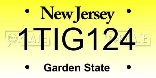 1TIG124 New Jersey License Plate