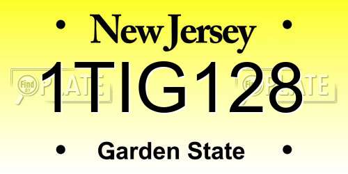 1TIG128 New Jersey License Plate