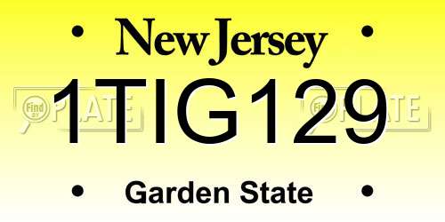 1TIG129 New Jersey License Plate