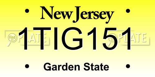 1TIG151 New Jersey License Plate