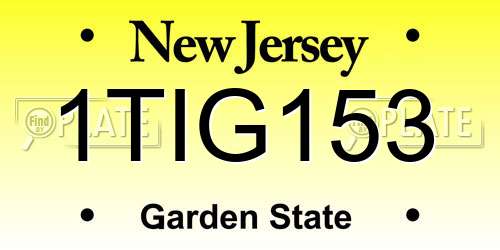 1TIG153 New Jersey License Plate