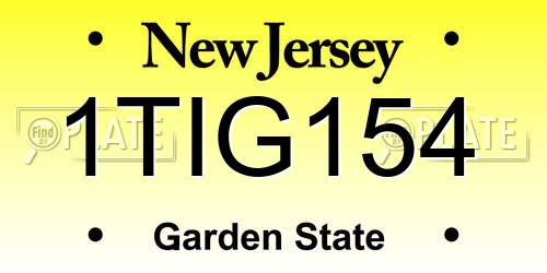 1TIG154 New Jersey License Plate