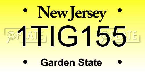 1TIG155 New Jersey License Plate