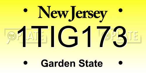1TIG173 New Jersey License Plate