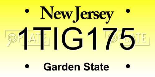 1TIG175 New Jersey License Plate