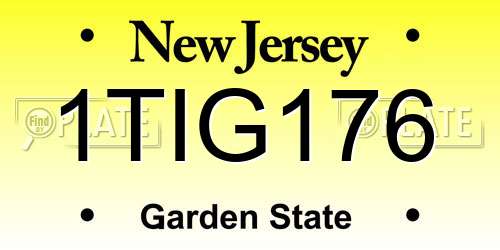 1TIG176 New Jersey License Plate